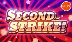 
										Игровой Автомат Second Strike