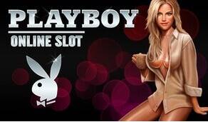 
										Игровой Автомат Playboy